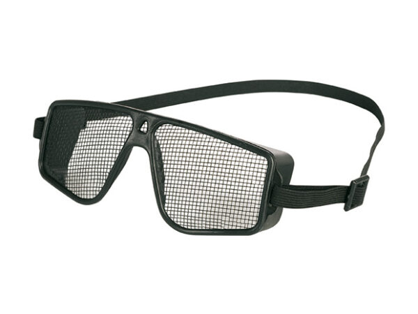 CANE VISION
